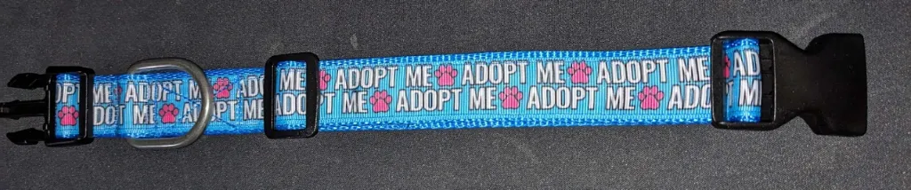 "Adopt Me" Collar (Black, None)