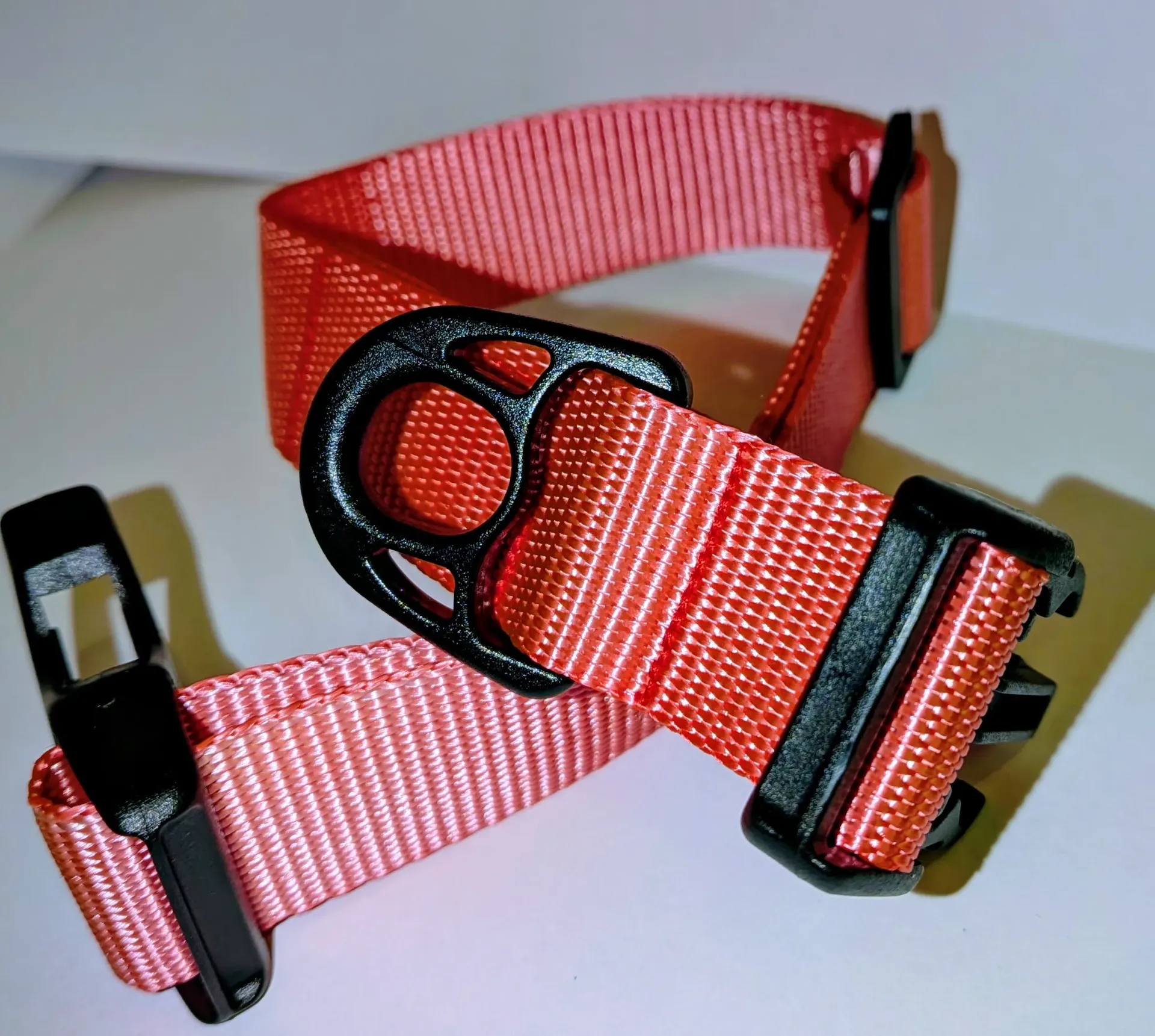 Pink! (Not the artist) Collar